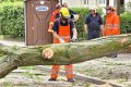 Feuerwehr_Baum   042